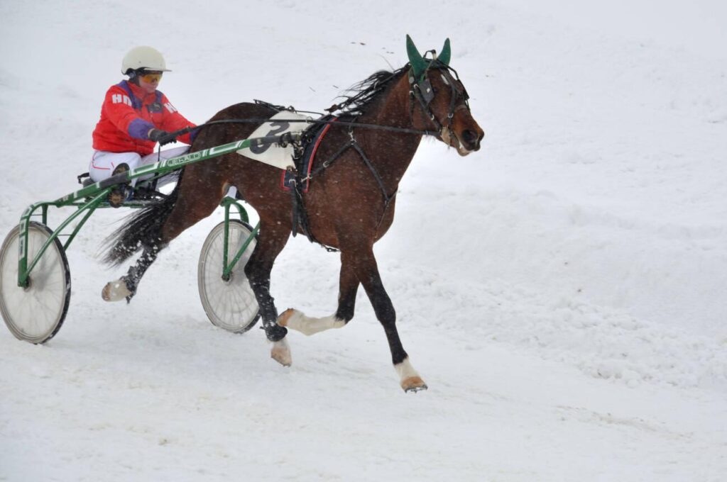 snow riding hore