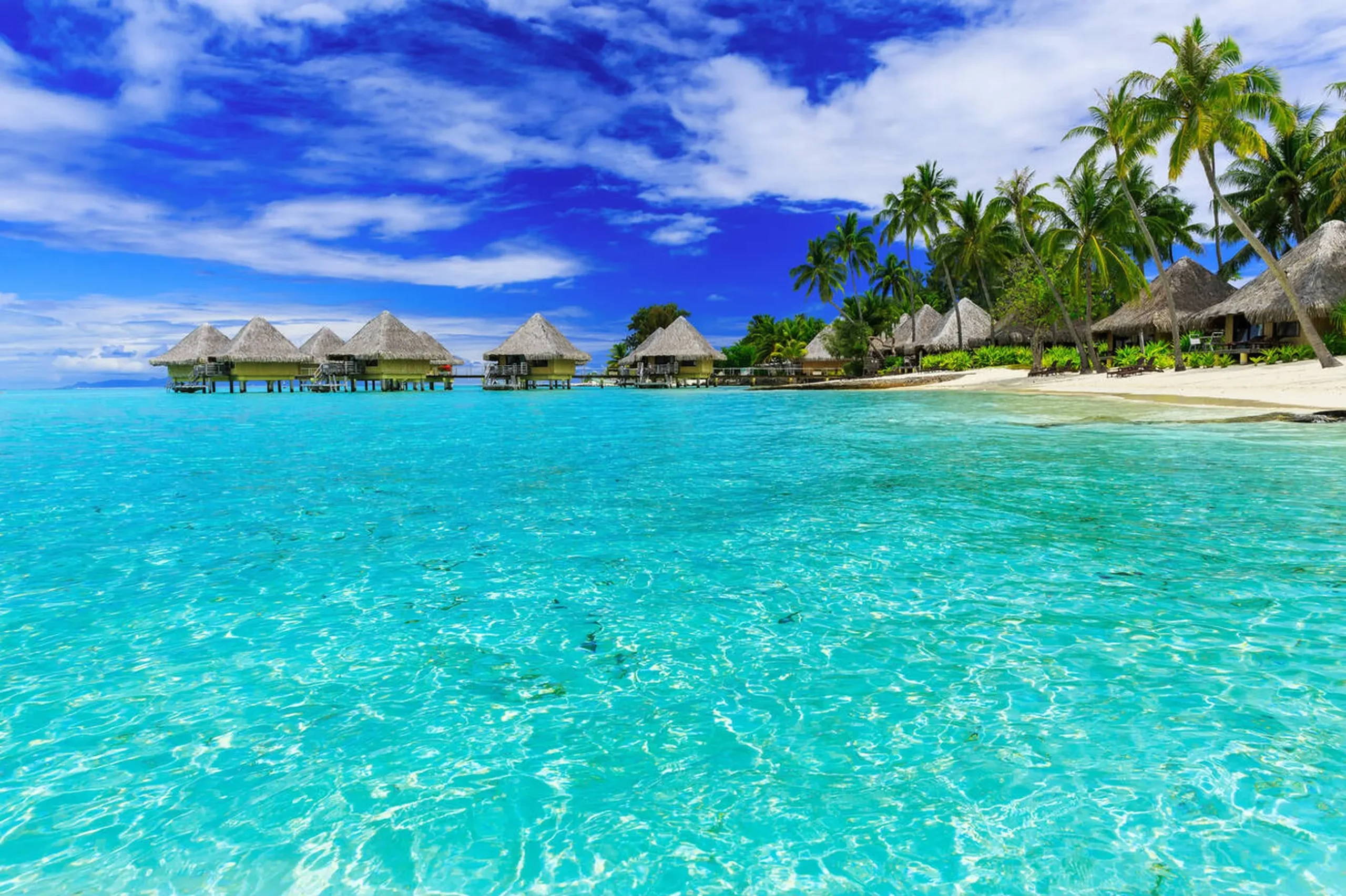 A stunning tropical island with turquoise waters, white sandy beaches, and lush palm trees under a bright blue sky.